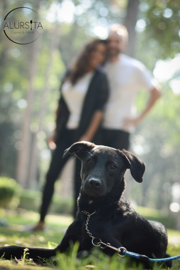 Me declaro Celiaca Consorte