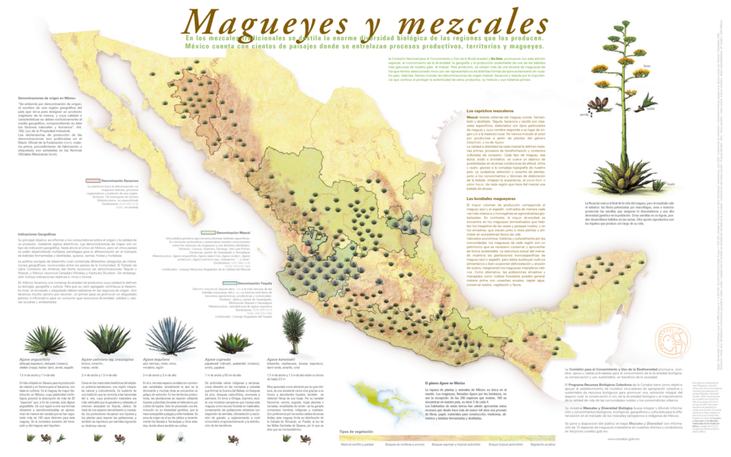 más información del mezcal