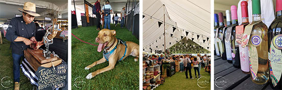 Los 10 años de 100 vinos mexicanos 2019