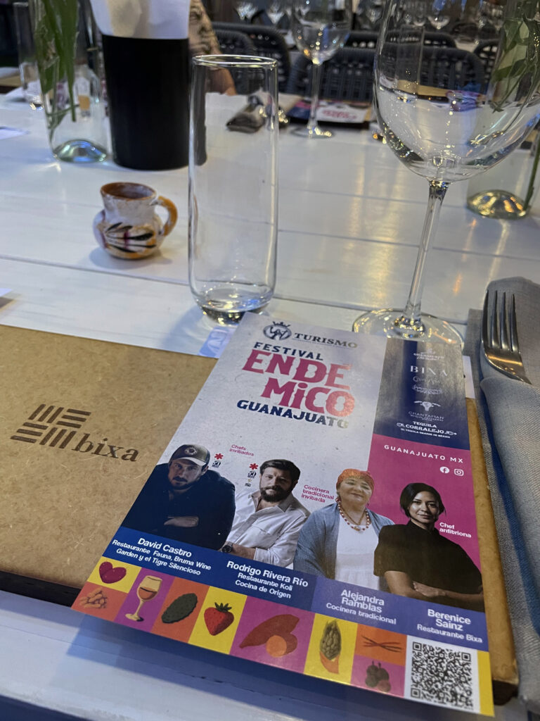 Festival Endémico Guanajuato 2025