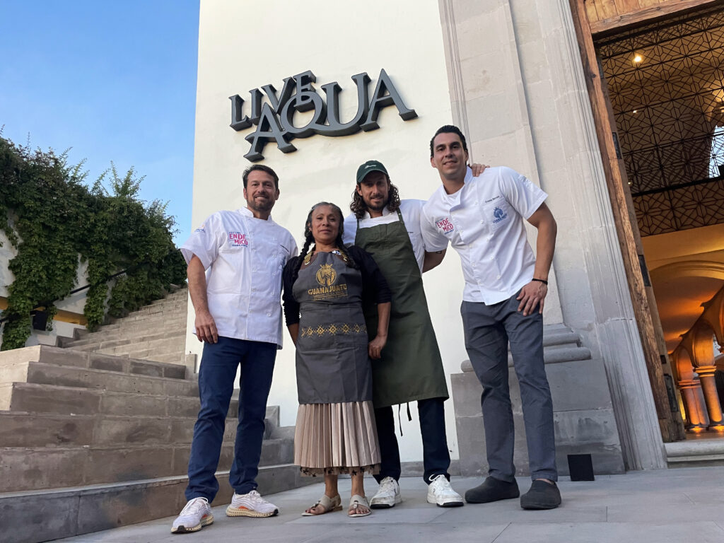 Festival Endémico 2025